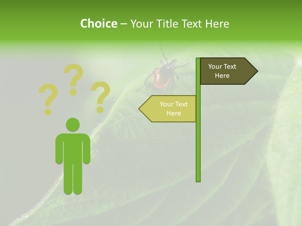 Danger Bush Acari PowerPoint Template