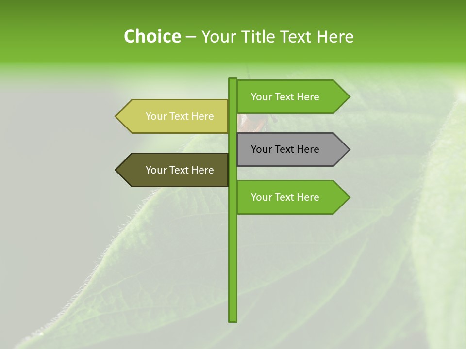 Danger Bush Acari PowerPoint Template