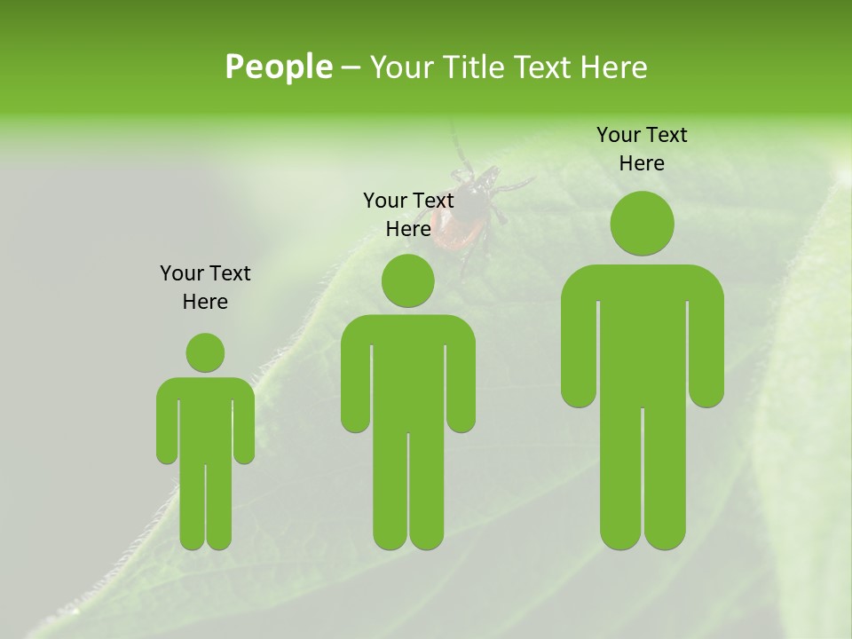 Danger Bush Acari PowerPoint Template