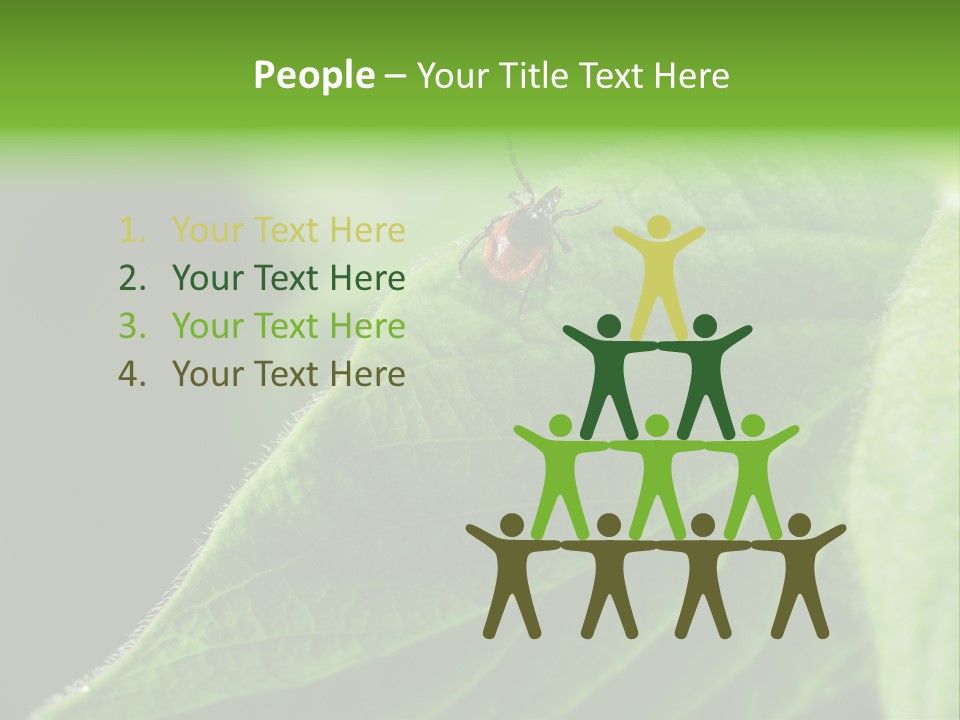 Danger Bush Acari PowerPoint Template