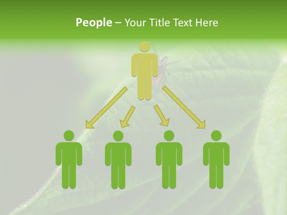 Danger Bush Acari PowerPoint Template