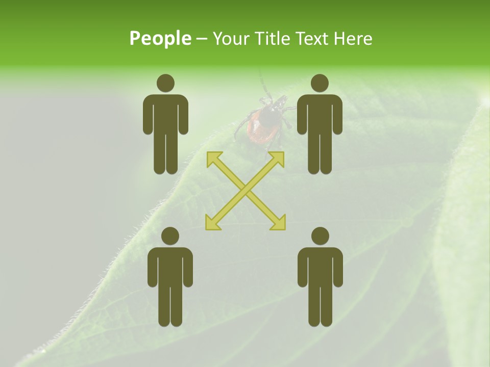 Danger Bush Acari PowerPoint Template