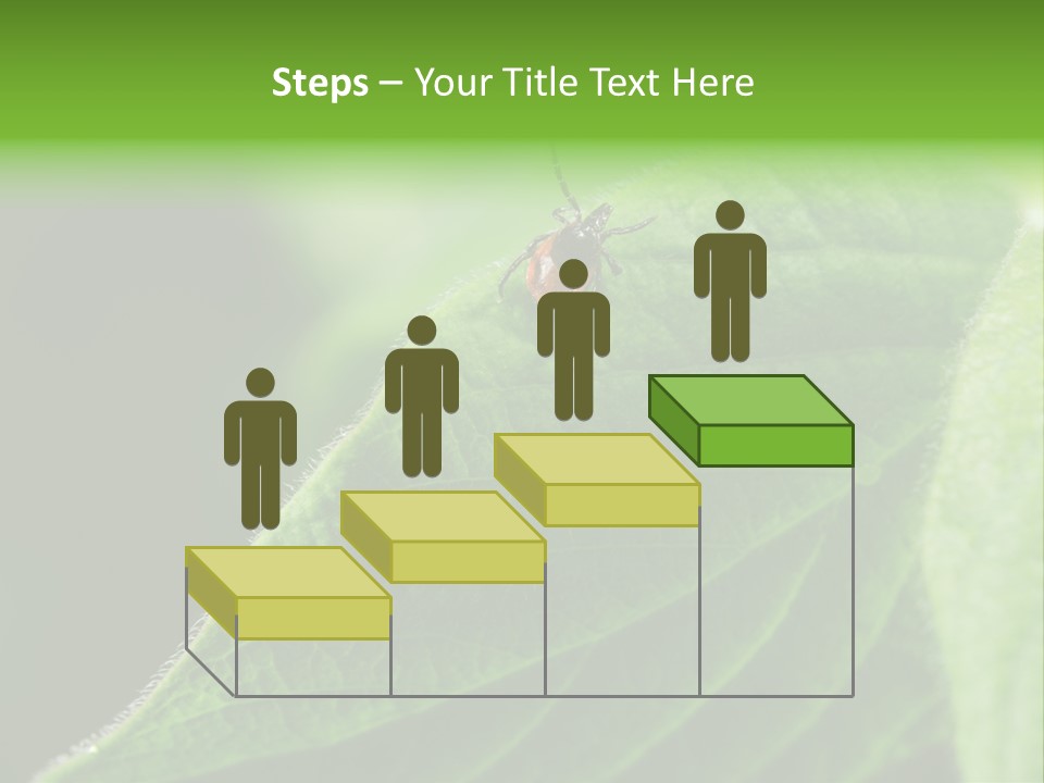 Danger Bush Acari PowerPoint Template