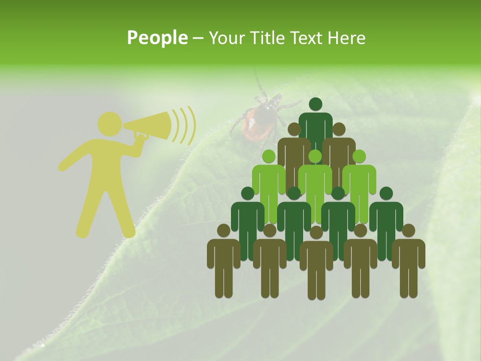 Danger Bush Acari PowerPoint Template