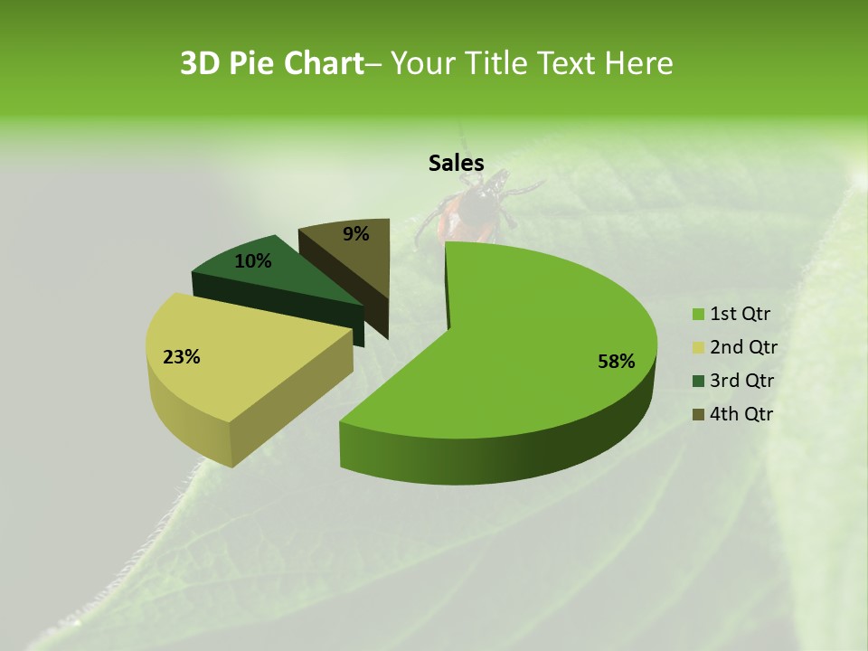 Danger Bush Acari PowerPoint Template