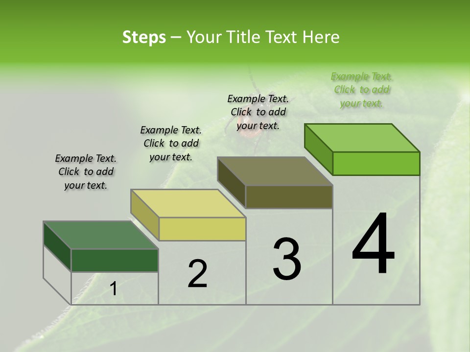 Danger Bush Acari PowerPoint Template