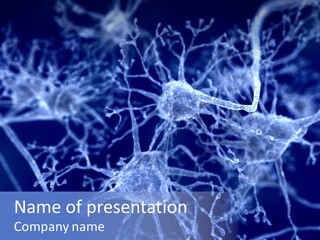 Signal Axon Nerve Cell PowerPoint Template