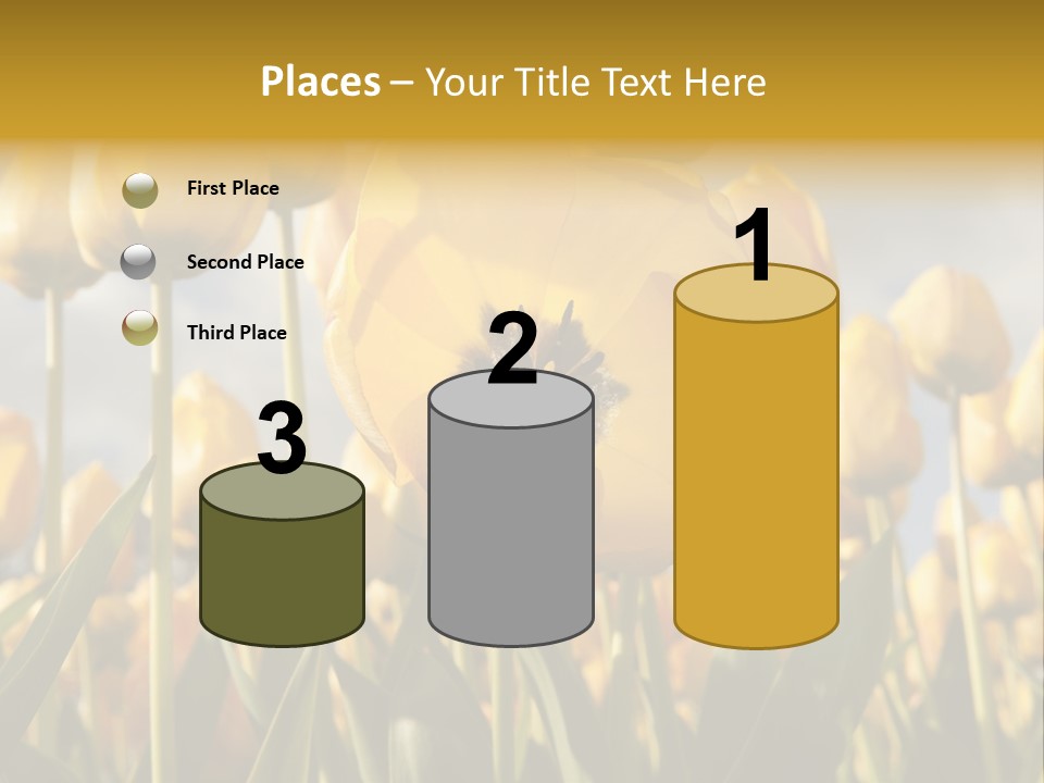 Medical Wrap Treatment PowerPoint Template