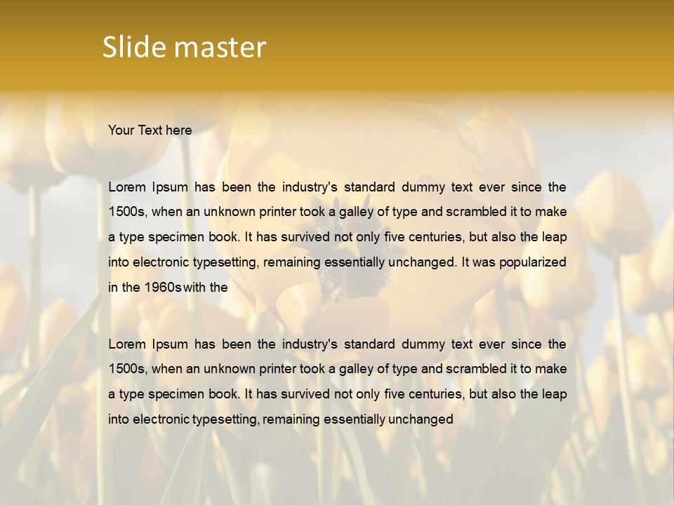 Medical Wrap Treatment PowerPoint Template