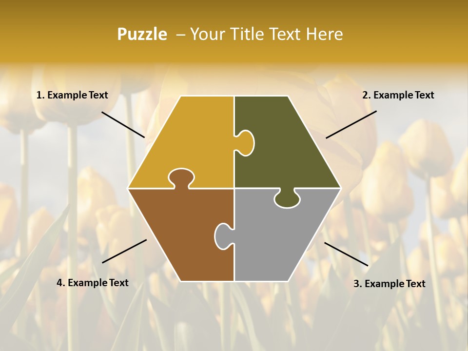 Medical Wrap Treatment PowerPoint Template