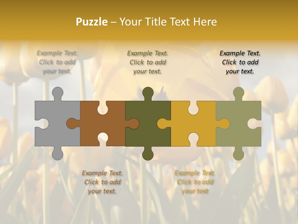 Medical Wrap Treatment PowerPoint Template