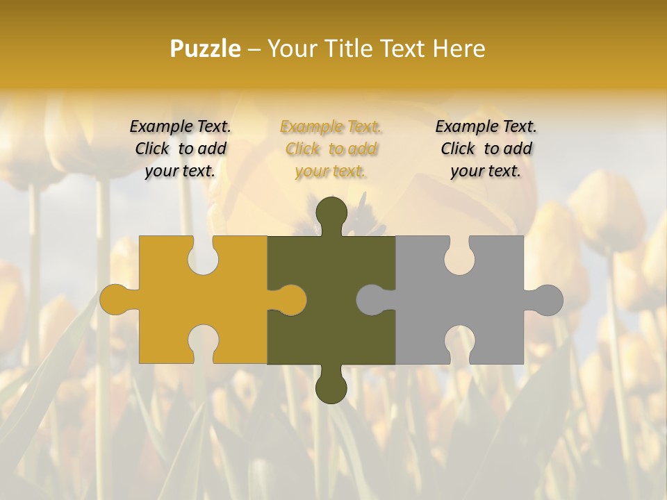 Medical Wrap Treatment PowerPoint Template