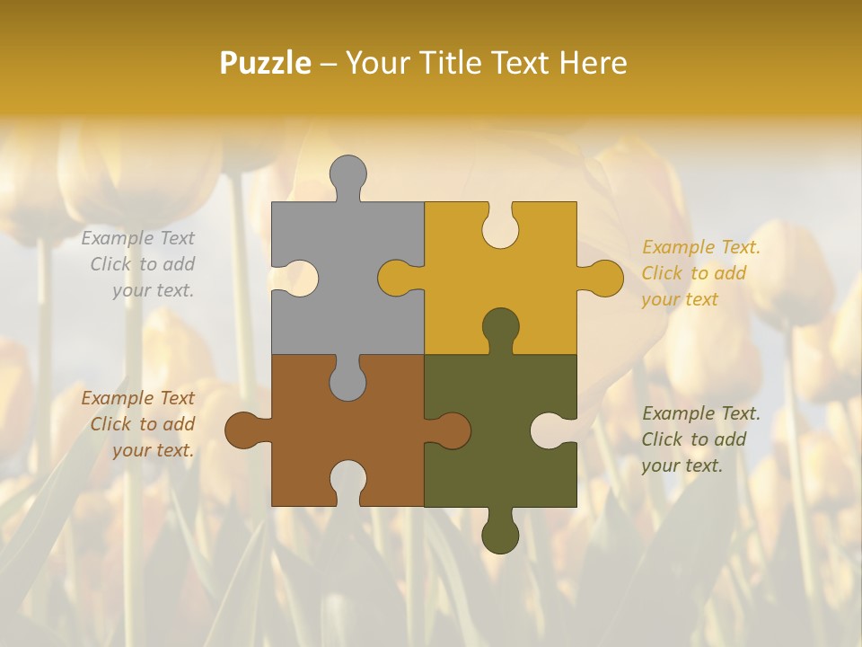 Medical Wrap Treatment PowerPoint Template