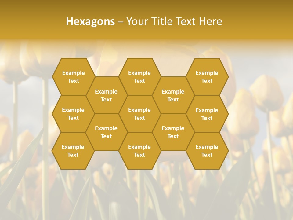 Medical Wrap Treatment PowerPoint Template