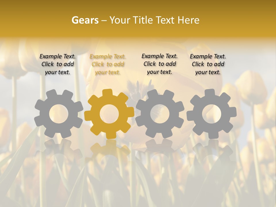 Medical Wrap Treatment PowerPoint Template