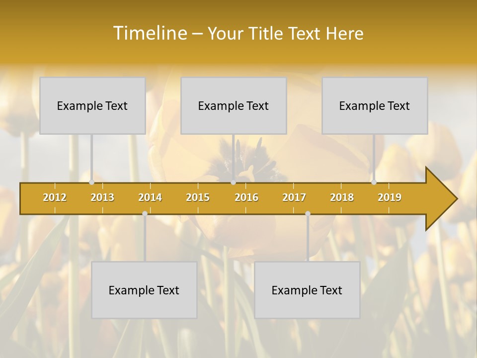 Medical Wrap Treatment PowerPoint Template