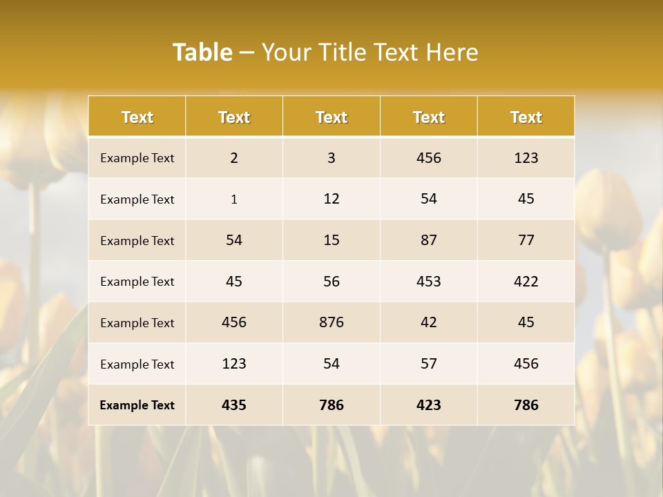 Medical Wrap Treatment PowerPoint Template