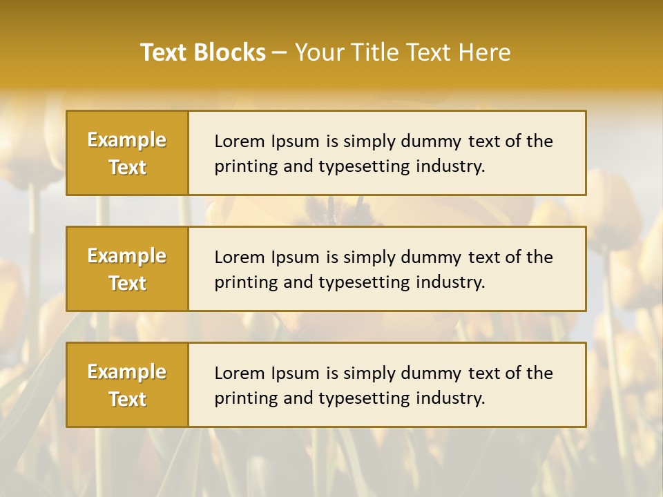 Medical Wrap Treatment PowerPoint Template