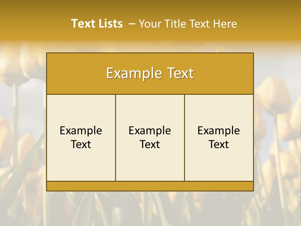 Medical Wrap Treatment PowerPoint Template