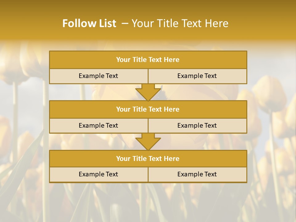 Medical Wrap Treatment PowerPoint Template
