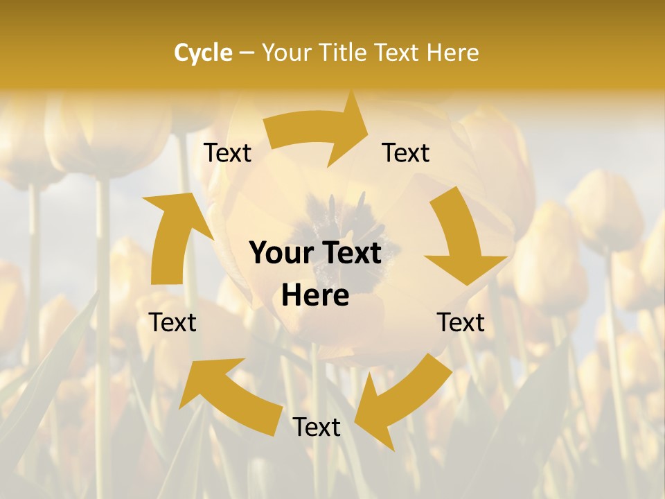 Medical Wrap Treatment PowerPoint Template