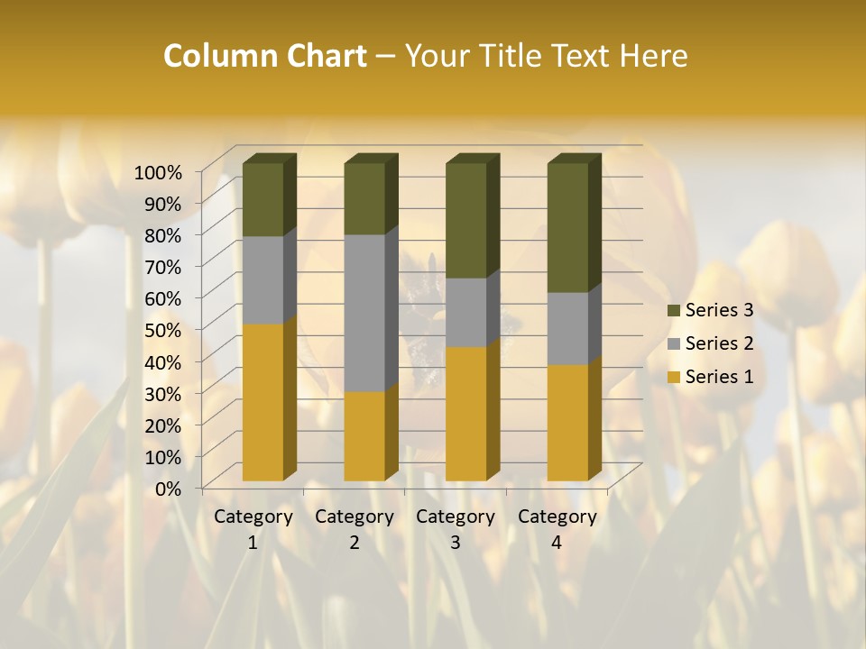 Medical Wrap Treatment PowerPoint Template