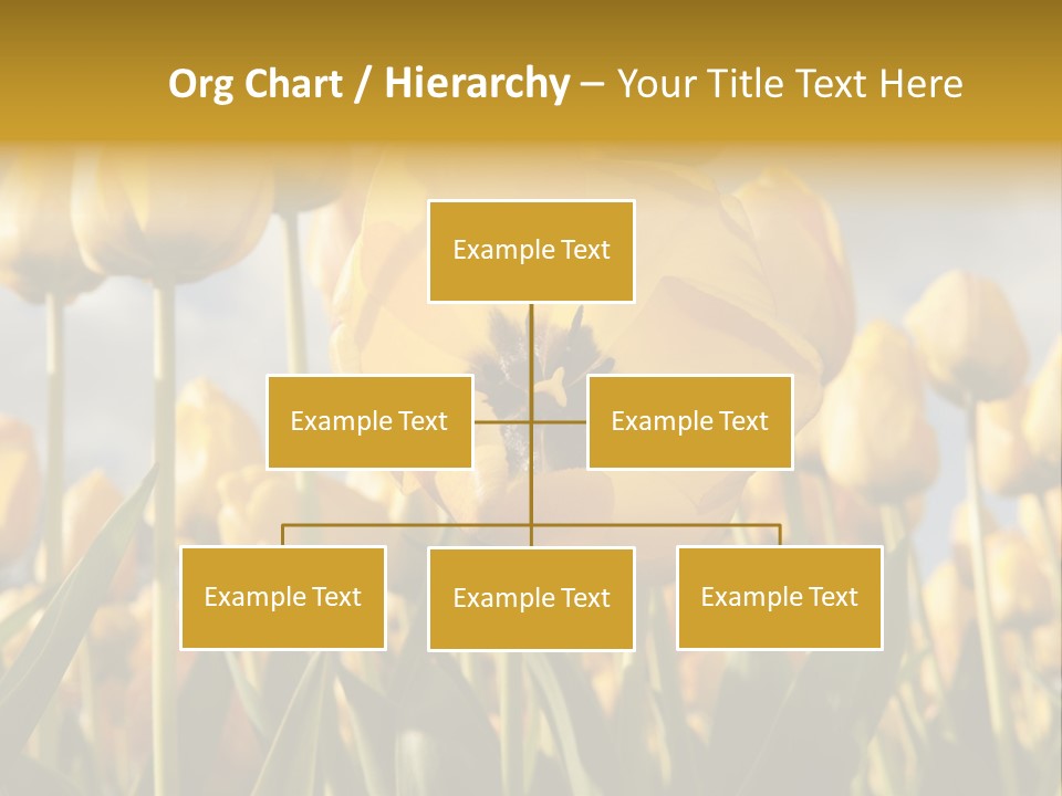 Medical Wrap Treatment PowerPoint Template