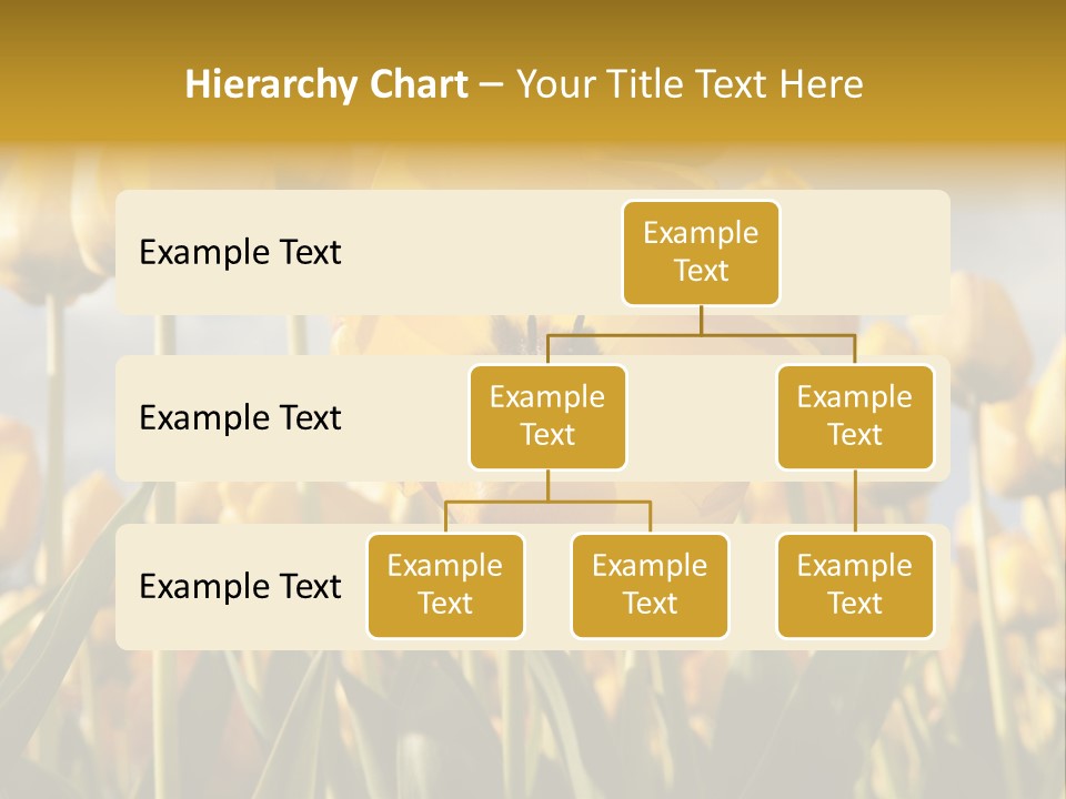 Medical Wrap Treatment PowerPoint Template
