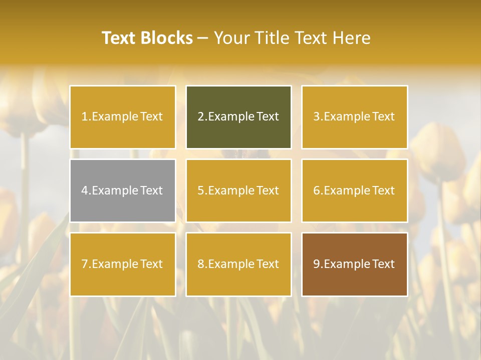 Medical Wrap Treatment PowerPoint Template