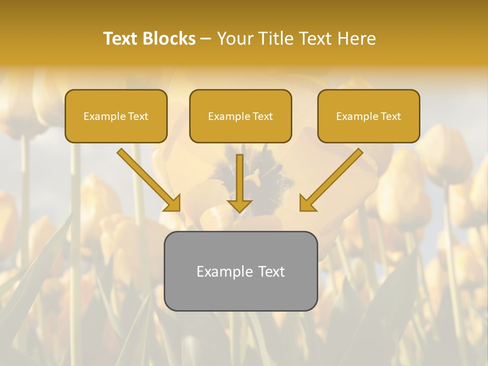 Medical Wrap Treatment PowerPoint Template