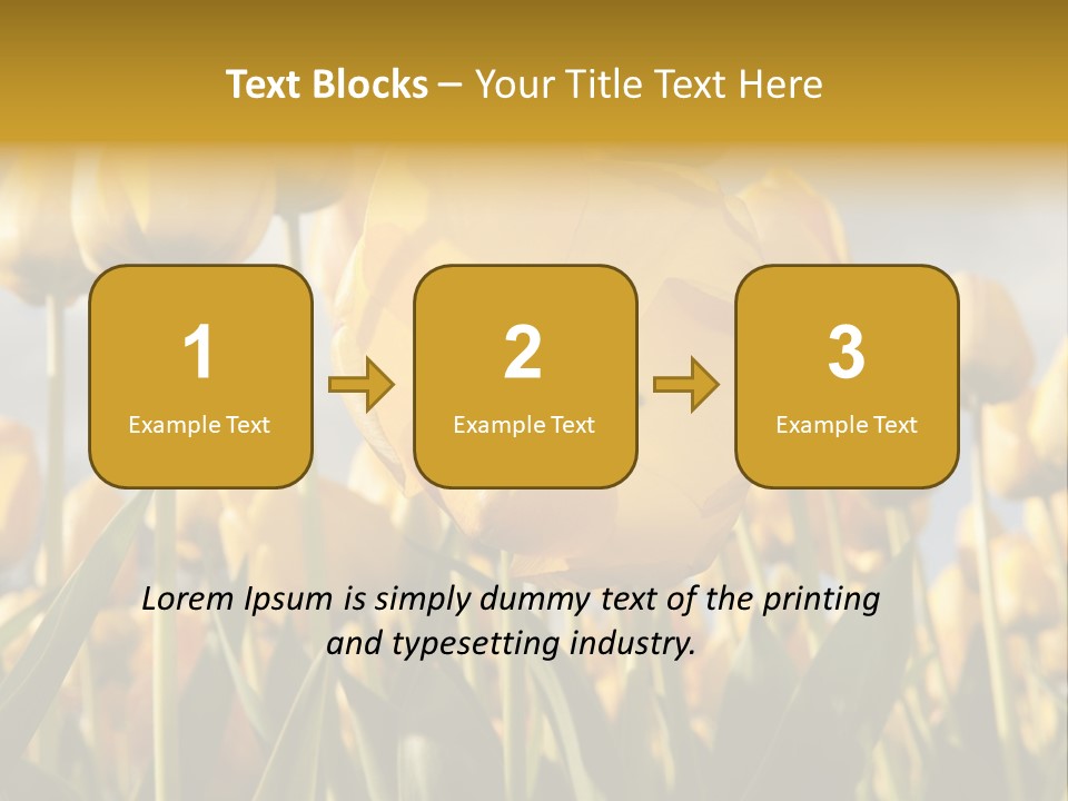 Medical Wrap Treatment PowerPoint Template