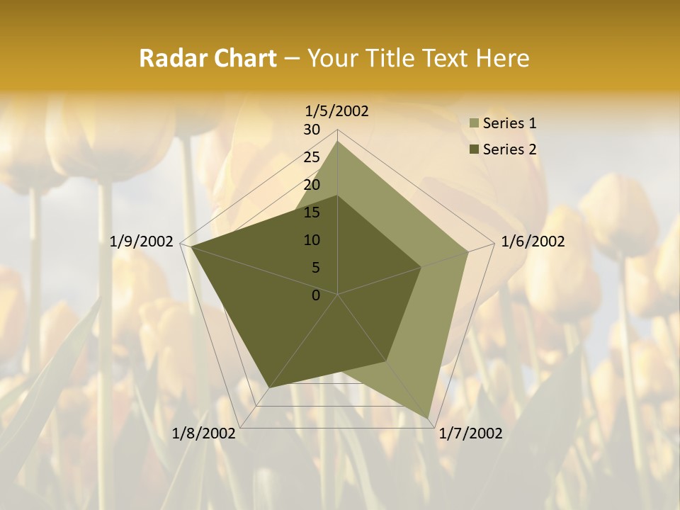 Medical Wrap Treatment PowerPoint Template