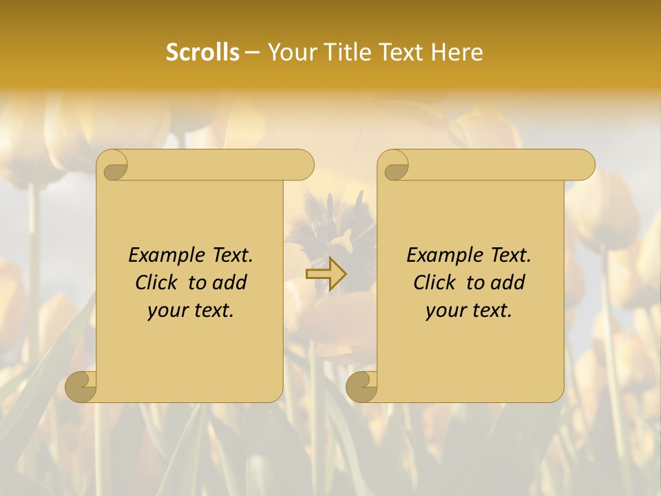 Medical Wrap Treatment PowerPoint Template