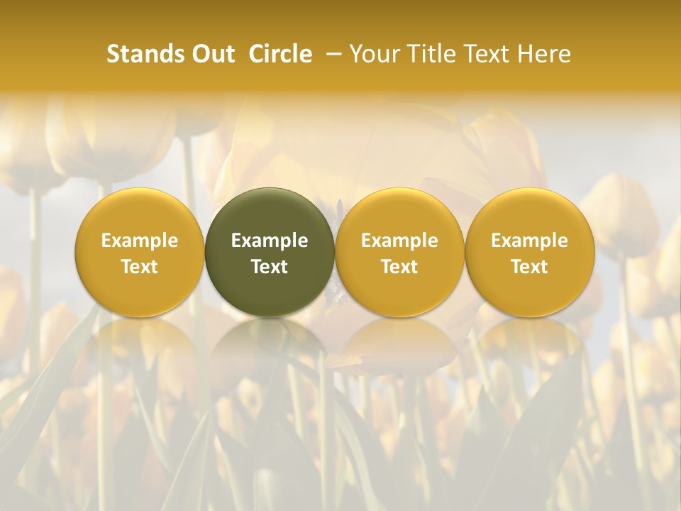 Medical Wrap Treatment PowerPoint Template