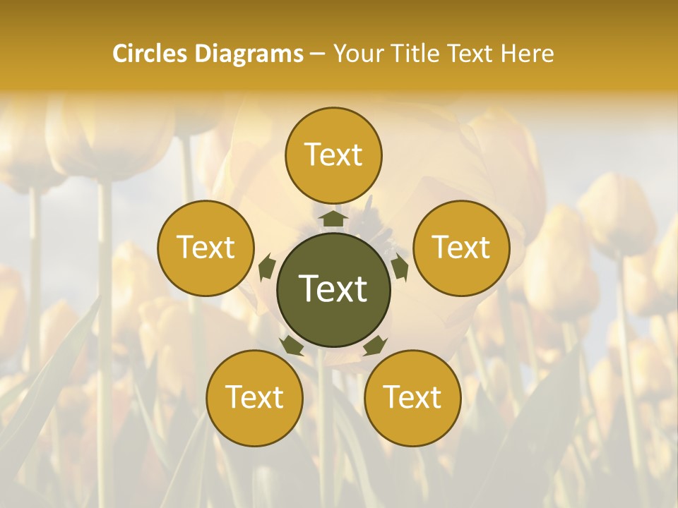 Medical Wrap Treatment PowerPoint Template