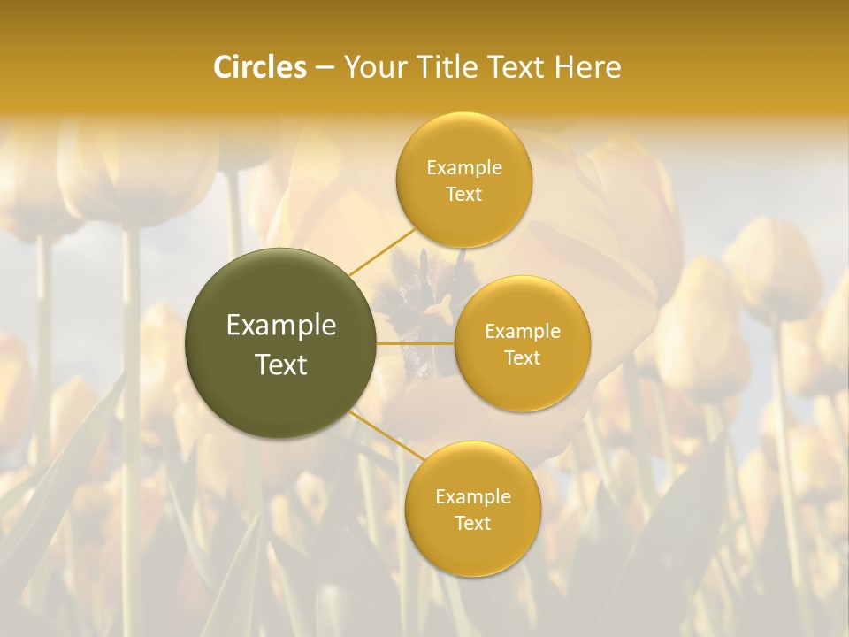 Medical Wrap Treatment PowerPoint Template