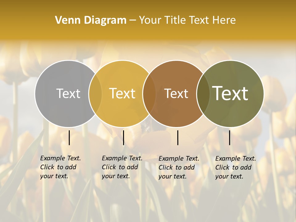 Medical Wrap Treatment PowerPoint Template