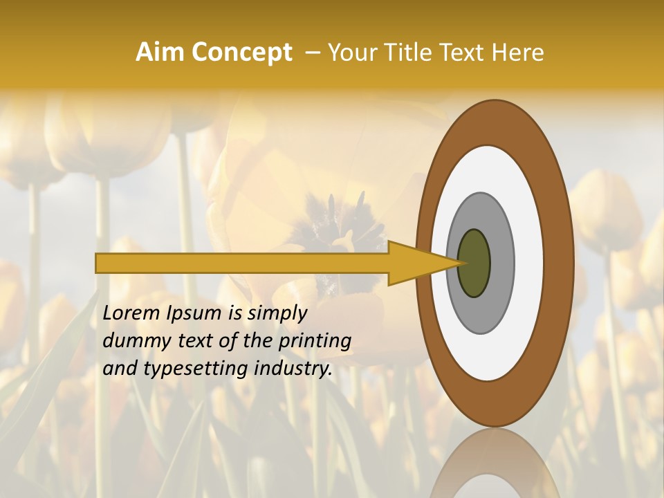 Medical Wrap Treatment PowerPoint Template