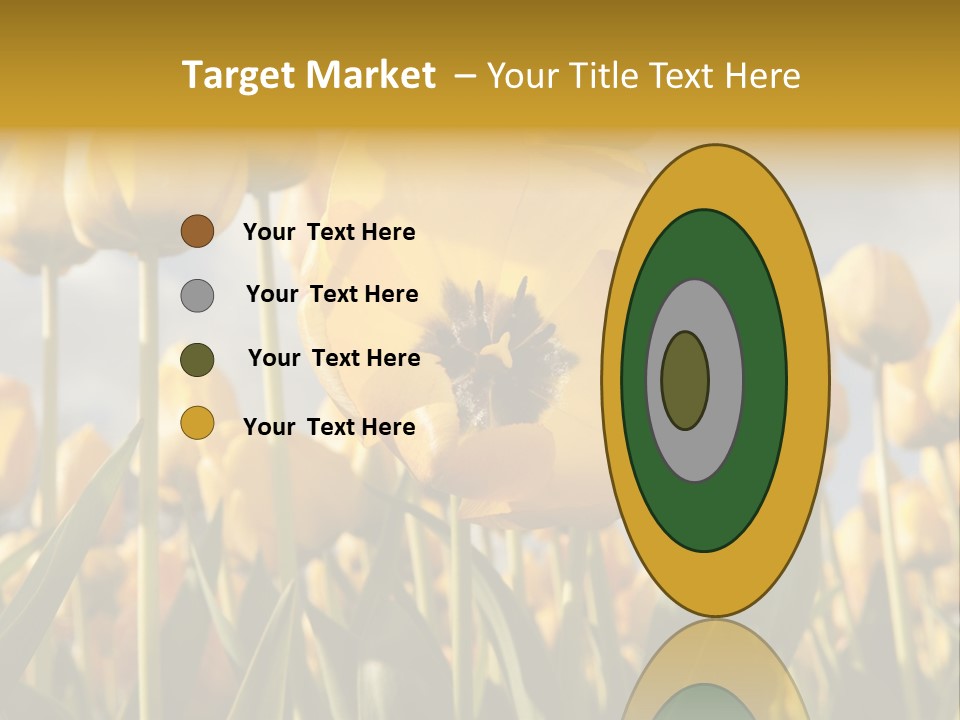 Medical Wrap Treatment PowerPoint Template