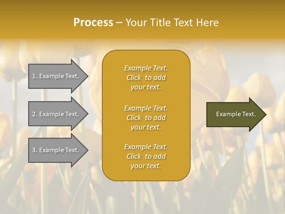 Medical Wrap Treatment PowerPoint Template