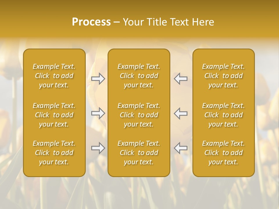 Medical Wrap Treatment PowerPoint Template