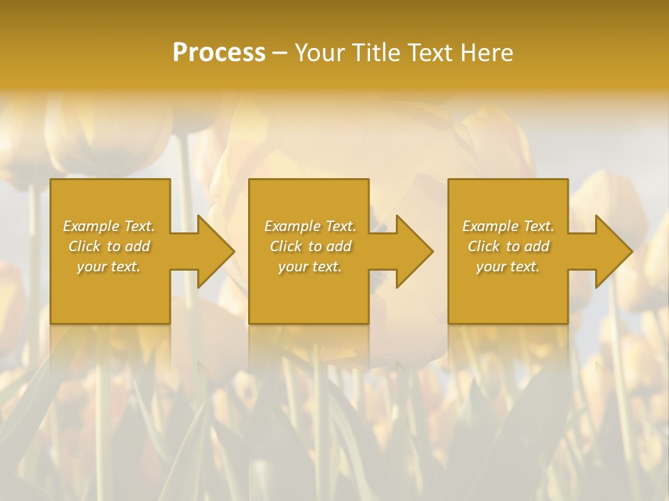 Medical Wrap Treatment PowerPoint Template