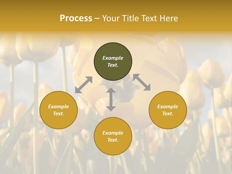 Medical Wrap Treatment PowerPoint Template