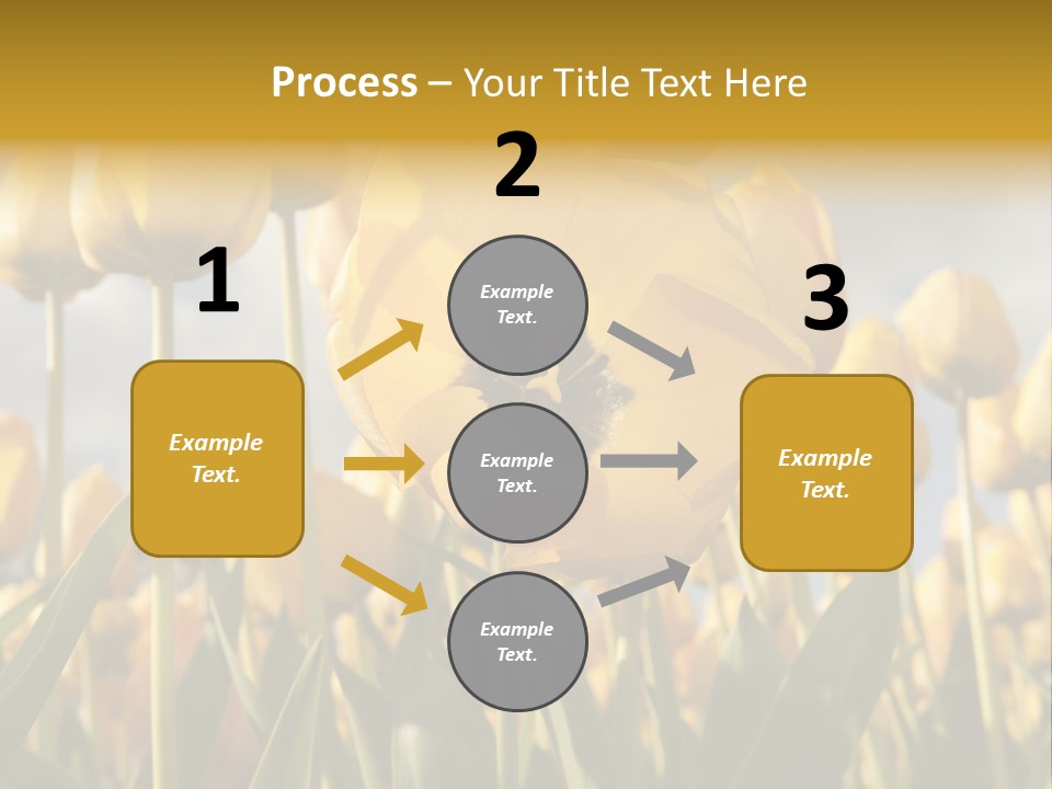 Medical Wrap Treatment PowerPoint Template