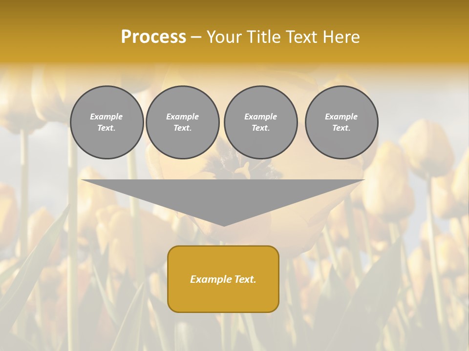 Medical Wrap Treatment PowerPoint Template