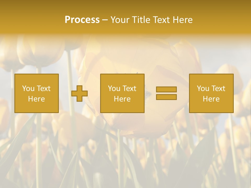 Medical Wrap Treatment PowerPoint Template