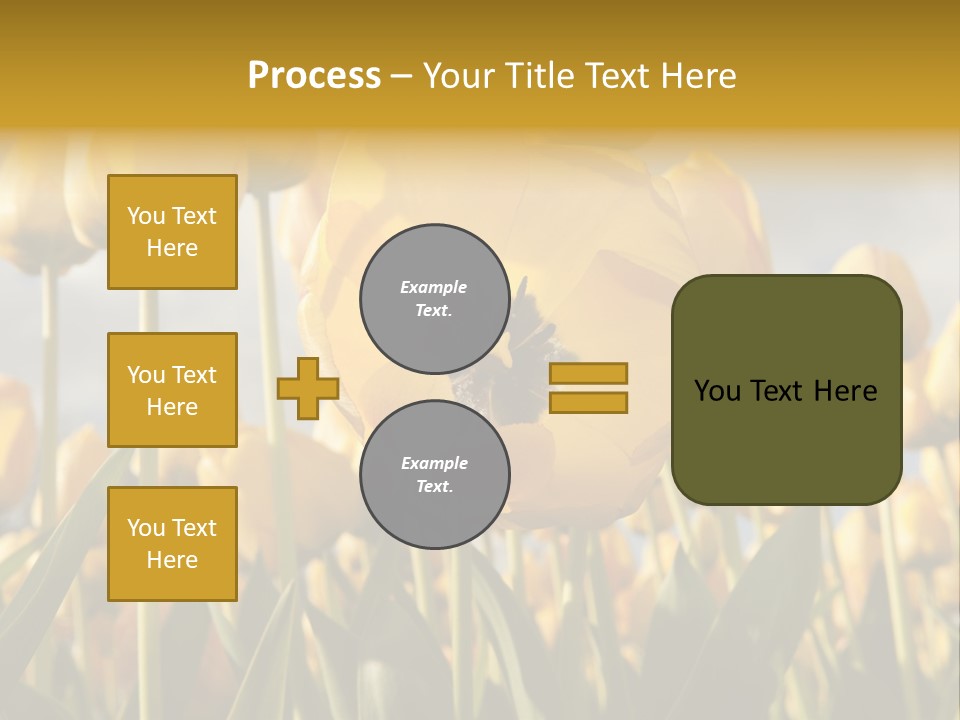 Medical Wrap Treatment PowerPoint Template