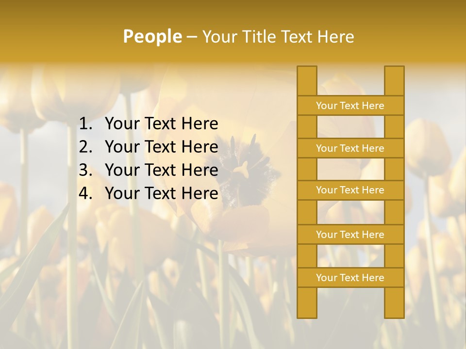 Medical Wrap Treatment PowerPoint Template