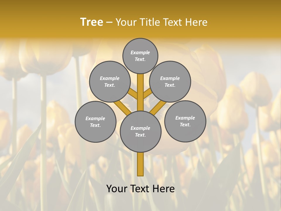 Medical Wrap Treatment PowerPoint Template