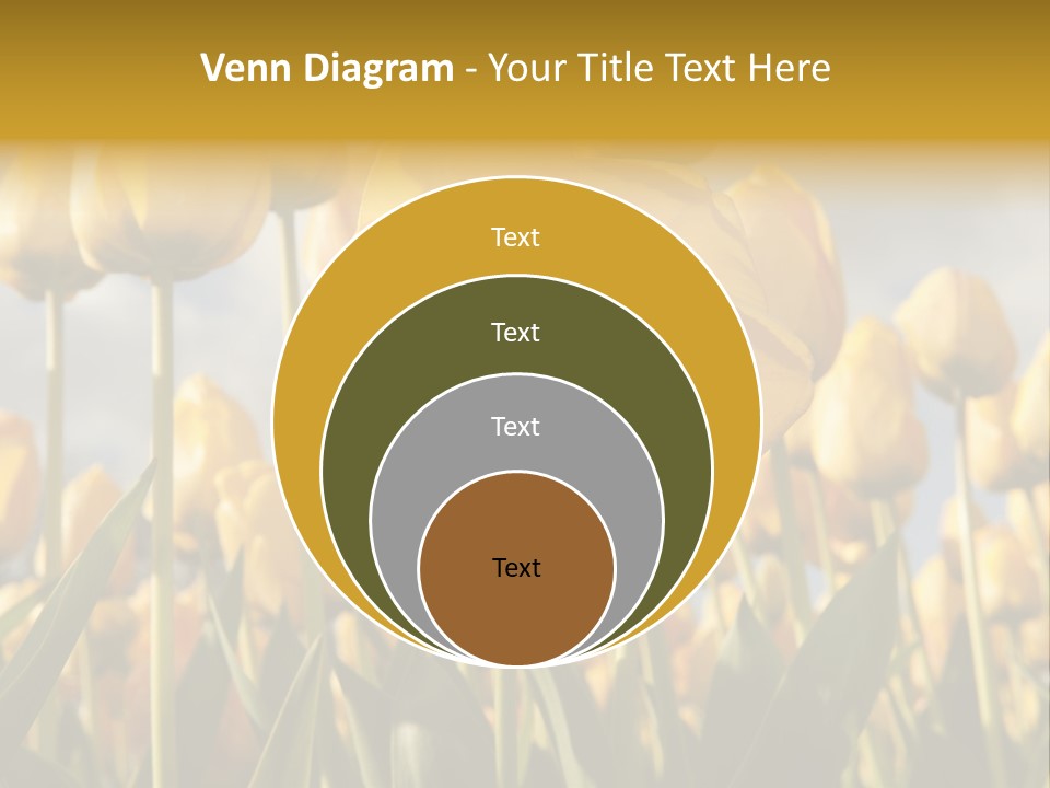 Medical Wrap Treatment PowerPoint Template